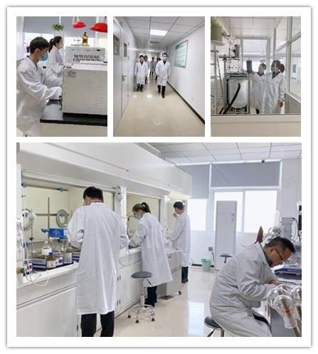 CAS:5939-37-7丨7-HYDROXY METHOTREXATE