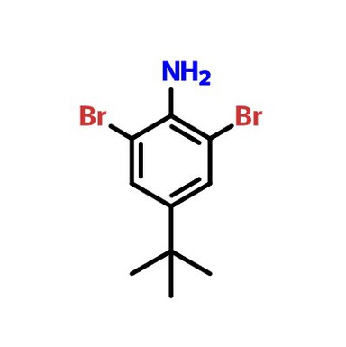 CAS:10546-67-5|2, 6-Dibromo-4-(terc-butil)anilin
