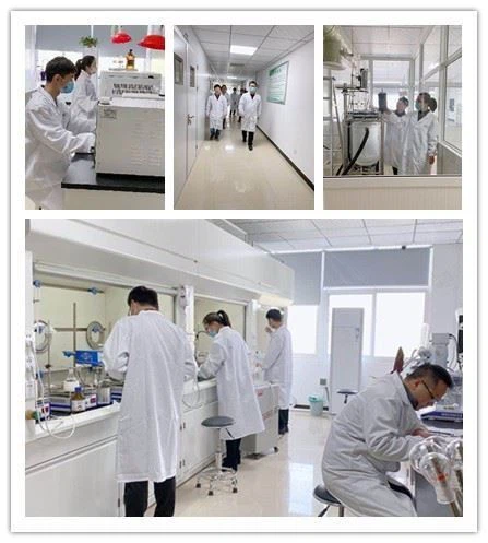 CAS:1117-55-1丨Hexyl Octanoate factory